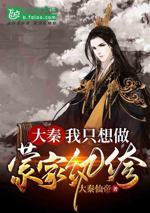 泰安旅游经济开发区张灯结彩迎新春